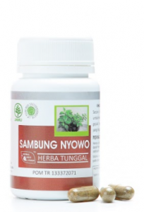 Sambung Nyowo Herbal Indo Utama