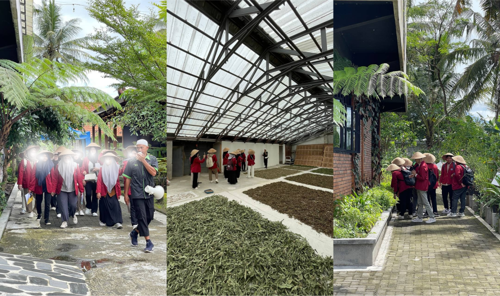 Kunjungan ke Kebun Universitas Muhammadiyah Banjarmasin