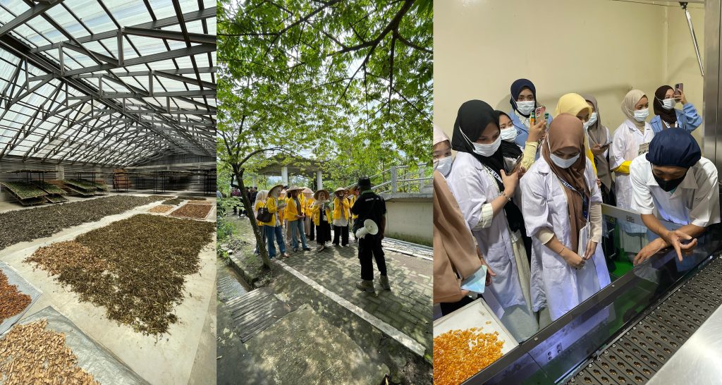 Kunjungan Industri Universitas Mandala Waluya (UMW)