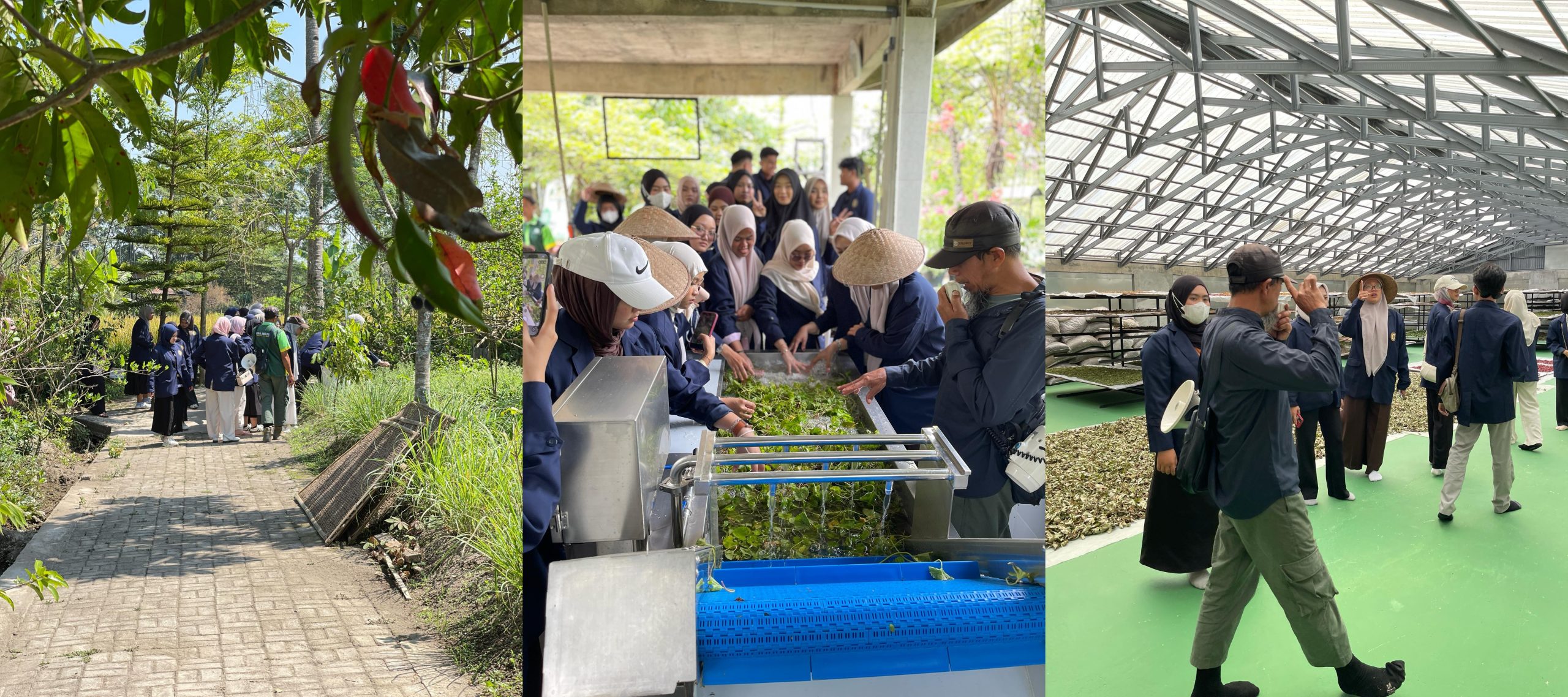 Kunjungan Kebun Herbal UMKT